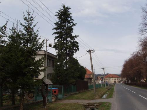 Mesto